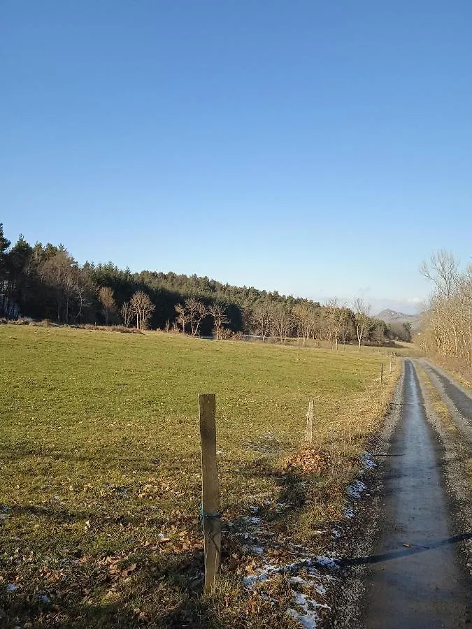 Holiday home Gites De La Berthe Lantriac